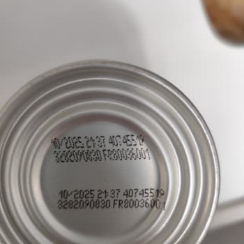 Raflarda Tarihi Geçmiş Purina Felix Konservesi Nedeniyle Kedim Hastalandı