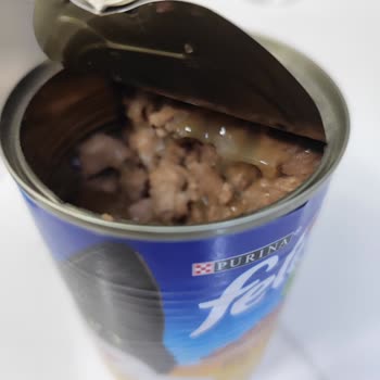 Raflarda Tarihi Geçmiş Purina Felix Konservesi Nedeniyle Kedim Hastalandı