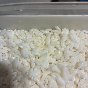 Yayla Baldo Pirinçte Homojen Olmayan Tane Boyutları