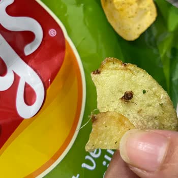 Lays Cipsinde Kaya Böceği Bulunması Müşteri Güvenini Sarsıyor