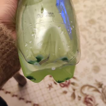Migros Erzurum Şubesinde Satın Aldığım Schweppes Bitter Limon Şişesinin Dibinde Küf