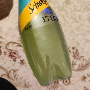 Migros Erzurum Şubesinde Satın Aldığım Schweppes Bitter Limon Şişesinin Dibinde Küf