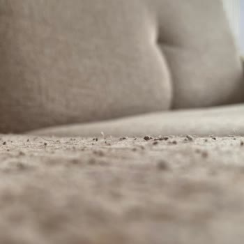 Koltuk Takımımda Aşırı Tüylenme Ve Sünger Çökmesi Garanti Kapsamında Değişim Talebi