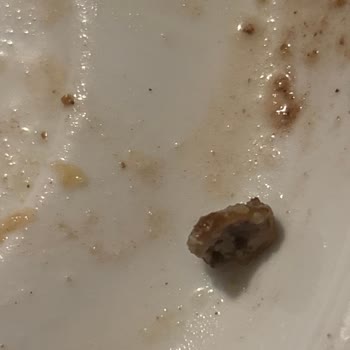 Baklavada Sert Yabancı Cisim Gıda Güvenliğini Tehdit Ediyor