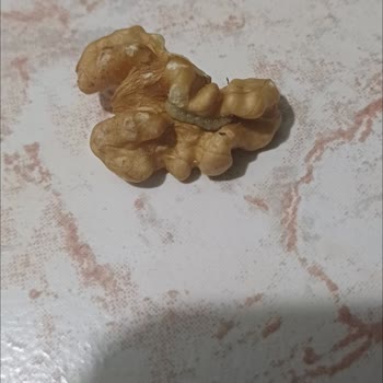 Ayvalık Migros Mağazasından Cevizlerde Kurtlu, Migros Hemen'den Limonlarda Küf