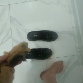 Ayak Sağlığına Verdiği Zarar Ve Rahatsızlık Nedeniyle Tüm Ayakkabılar İçin İade Talebi