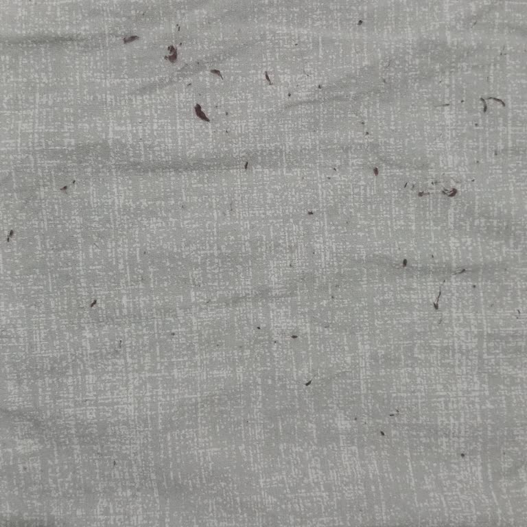 Karaca Home Battaniye Yoğun Şekilde Tüy Dökmeye Devam Ediyor