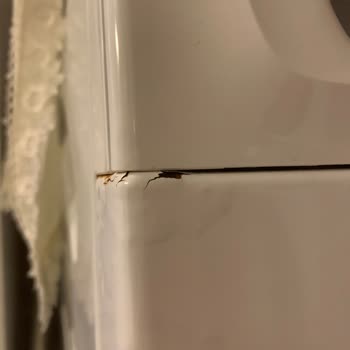 Profilo Çamaşır Makinesinde Deterjan Çekmecesi Paslanması Ve Kalite Sorunu