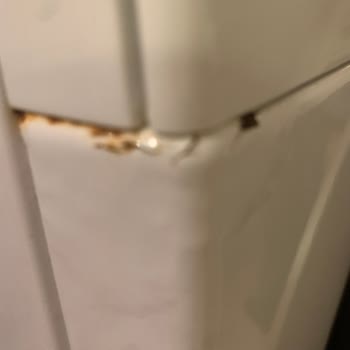 Profilo Çamaşır Makinesinde Deterjan Çekmecesi Paslanması Ve Kalite Sorunu