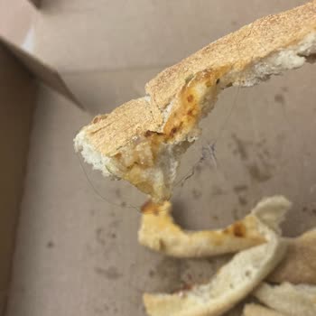 Domino’s Pizza Manisa Şehzadeler Şubesinde Hijyen İhlali: Pizza’da Saç Ve Kıl