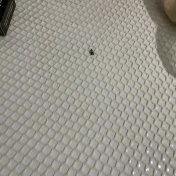 Ülker Halley Paketi İçinde Böcek Ve Güve Bulunması