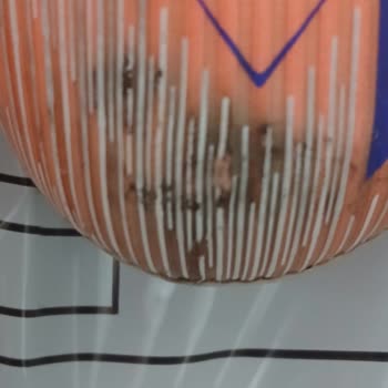 Adidas Kramponunda Erken Aşınma Ve Garanti Reddi