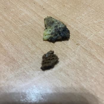 Lays Yoğurt Cipsinde Siyah Yabancı Cisim Görüldü Gıda Güvenliği Endişesi Oluştu