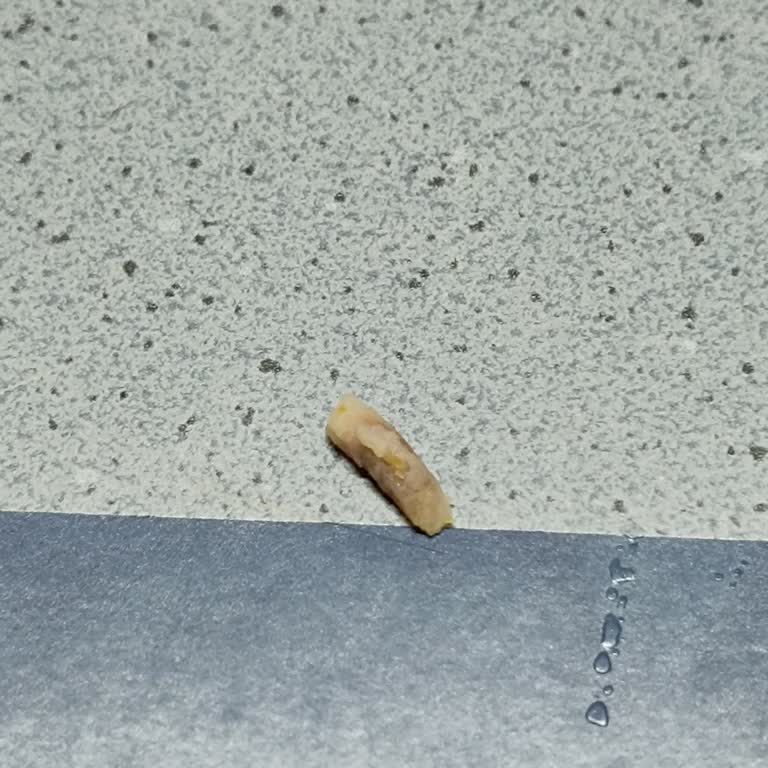 Burger King Tavuk Burgerinde Yabancı Cisim Ve Hijyen İhlali