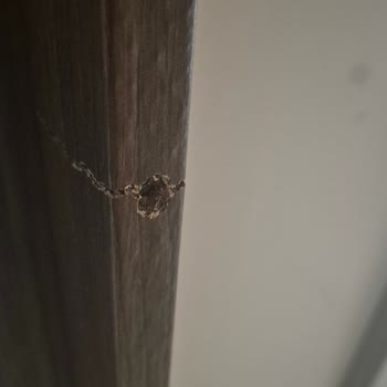 Montego Salon Takımında Montaj Hasarı Ve Kusurlu Parçalar İçin Garanti Kapsamında Değişim Talebi