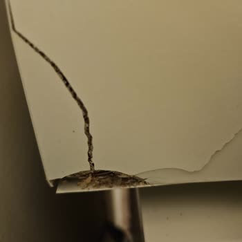 Teslimat Gecikmesi Ve Kalitesiz Ürünler Nedeniyle 70.000 TL Kira Kaybı Ve İade Talebi