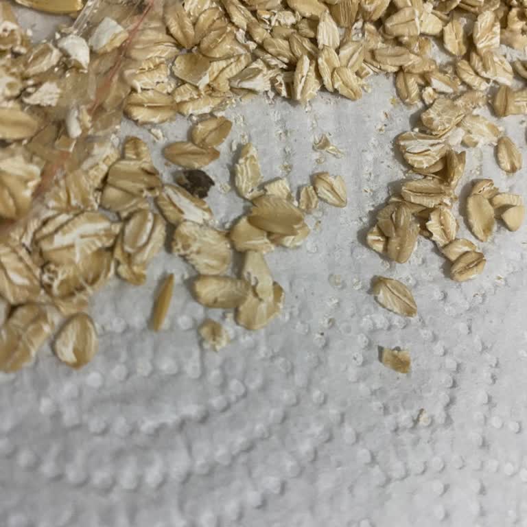 Yulaf Ezmesindeki Siyahlık Hijyen Ve Güvenlik Sorunu