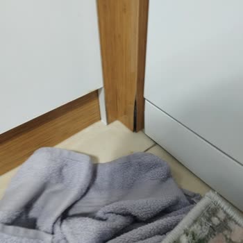 Profilo BMS 421E3-30 Bulaşık Makinesinde Sürekli E31 Hatası Ve Mutfak Su Baskını