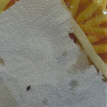 Dondurulmuş Patates İçinde Kurt Bulunması Hijyen Ve Sağlık Endişesi