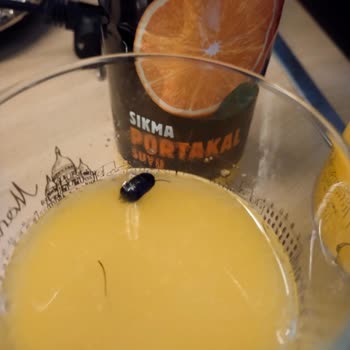 Portakal Suyu Şişesinde Böcek Bulundu, Hijyen Ve Sağlık Riski