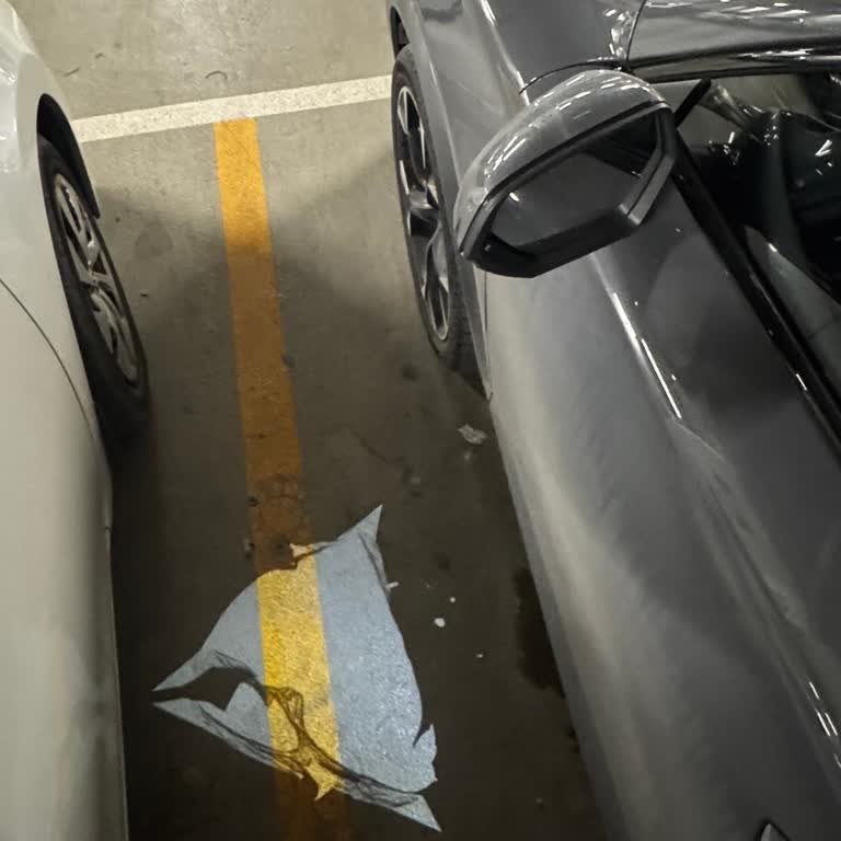 Cupra Formentor Ayna Altı Logo Projeksiyonunda Görüntü Bozukluğu