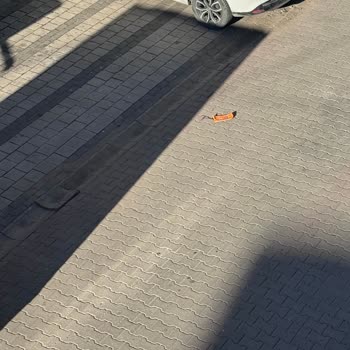 Veysel Karani Mahallesinde Sokak Temizliği Eksikliği