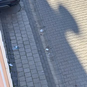 Veysel Karani Mahallesinde Sokak Temizliği Eksikliği