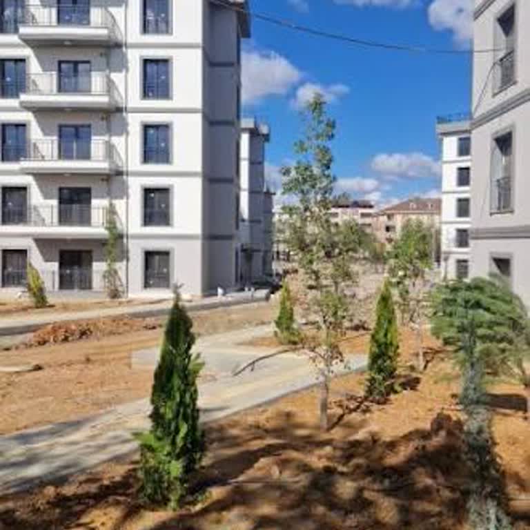 TOKİ’nin Sarıgazi Ormanını Yok Etmesi Ve Çevre Düzenlemesi Talebi