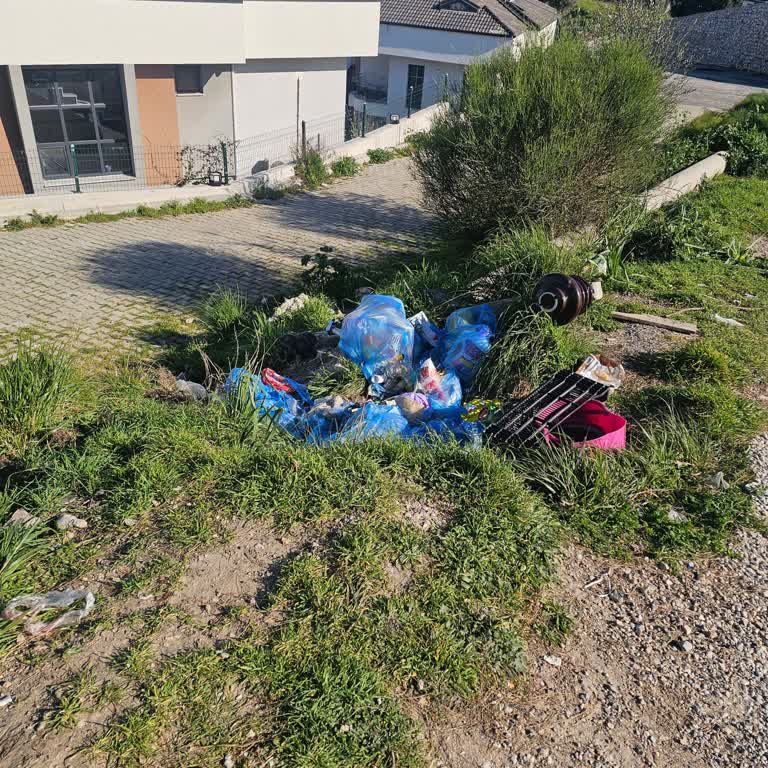 Milas Güllük Mahallesinde Çöp Birikimi Ve Sokak Köpekleri Sorunu