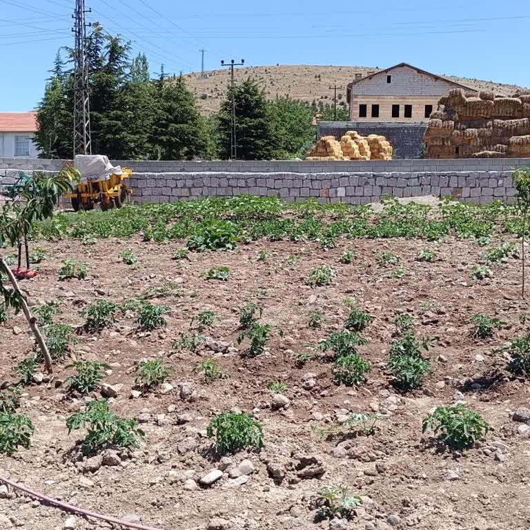 Selay Fide Hem Zaman Hem Emek Kaybı Yaşadık