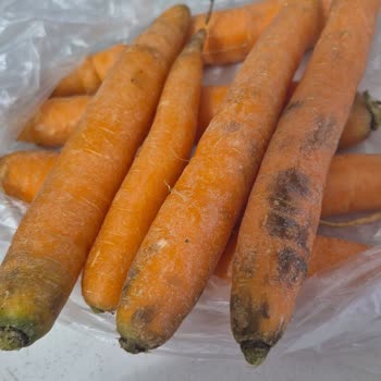 Şok Market’ten Çürük Meyveler İçin Ücret İadesi Talebi