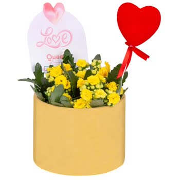 Migros Hemen Çiçeği Görselden Farklı Ve Özensiz Teslim Edildi