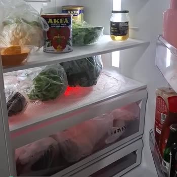 Beko Buzdolabının Kapağını Açıp Kapatınca Ses Gelmesi!