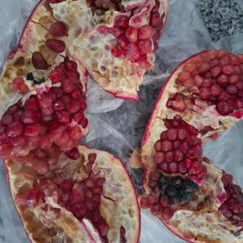 Çelikkayalar Şehit Topel Şubesinde Narların Çürüklüğü Ve İade Talebi