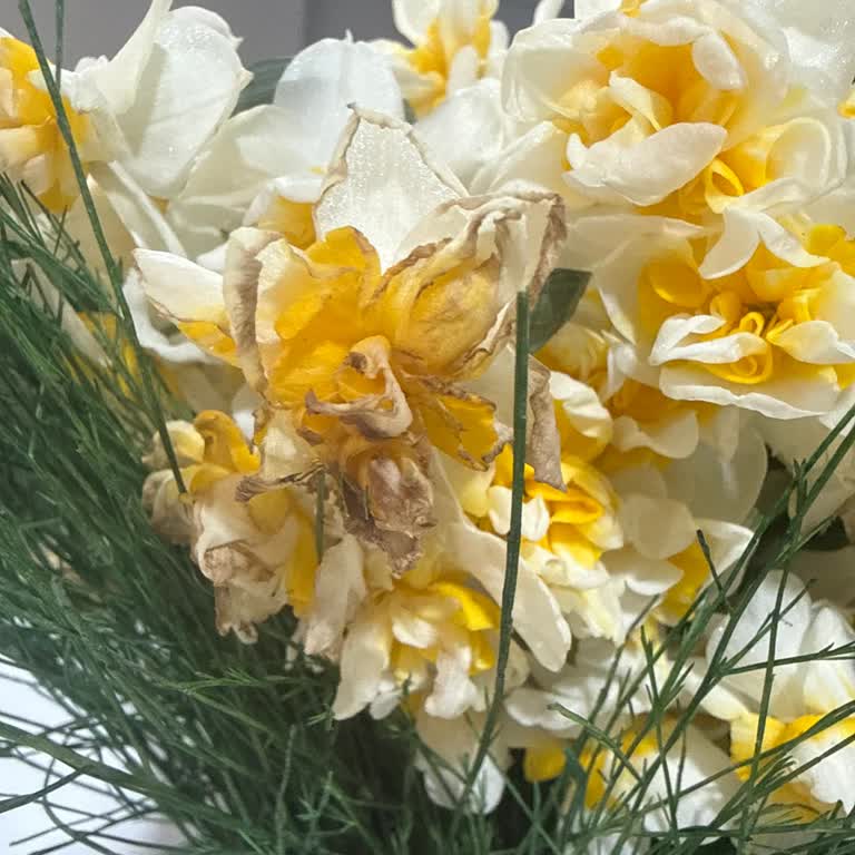 Solmuş Ve Çürük Çiçekler: Hızlı Çiçek'ten Telafi Talebi