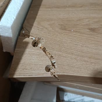 Hasarlı Zigon Sehpa Ve Cevapsız Müşteri Hizmetleri İade Reddi