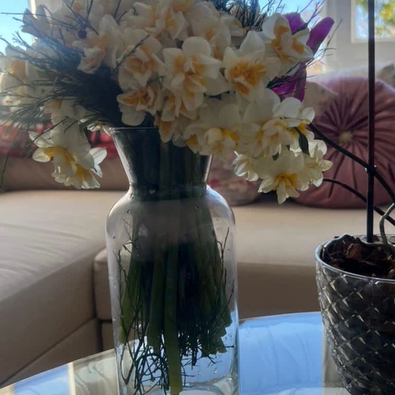 Vazoda Nergis Çiçeği İçin Görseldeki Ürünle Uyuşmayan Gönderim Ve Müşteri Hizmetlerinin Saygısız Yaklaşımı