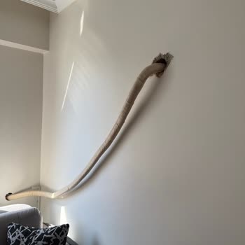 Yan Oda Boru Deliği Ve Estetik Bozukluğu İçin Hemen Düzeltme Ve Yeni Servis Ekibi Talebi