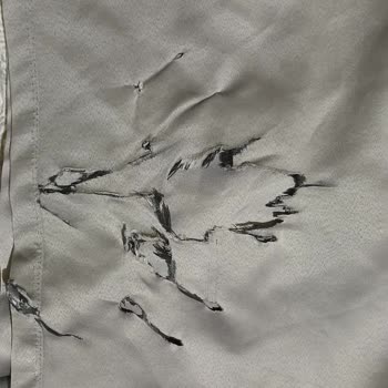 Beko Çamaşır Makinesinde Yanık Plastik Sorunu Ve Servis İhmali