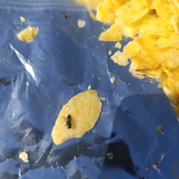 Antalya Altınova A101 Şubesinde Lays Cipsinde Böcek Çıktı