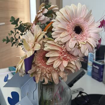 Taze Çiçek | Tazecicek.com Kalitesiz Çiçekler Ve Yanıltıcı Görseller