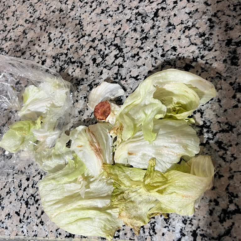 Siparişte 4 Su Şişesi Eksik Ve Çürük Marul, Müşteri Hizmetleri Bağlantısı Sağlanamıyor