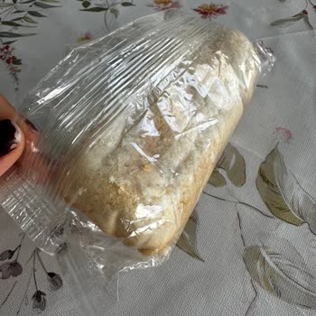 Uçakta Glutensiz Sandviçin Bayat Ve Sert Olması Sağlık Riskine Yol Açtı