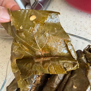 Sağlık Riski Oluşturan Bozuk Yaprak Sarma Ve Turşu, Satıcı Cevapsız Ve 1900 TL İade Talebi