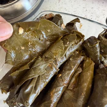 Sağlık Riski Oluşturan Bozuk Yaprak Sarma Ve Turşu, Satıcı Cevapsız Ve 1900 TL İade Talebi