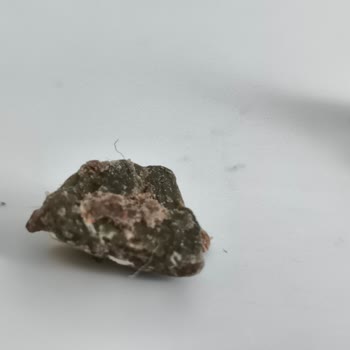 Küflenmiş Çikolata Parçası Gıda Güvenliği Endişesi