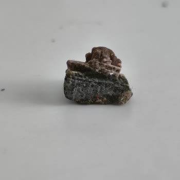 Küflenmiş Çikolata Parçası Gıda Güvenliği Endişesi