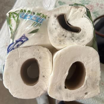 Migros'ta Satın Alınan Solo Tuvalet Kağıdının Küflü Ruloları