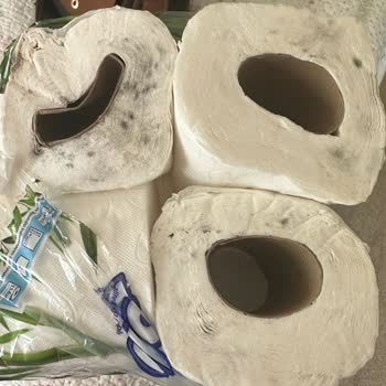 Migros'ta Satın Alınan Solo Tuvalet Kağıdının Küflü Ruloları