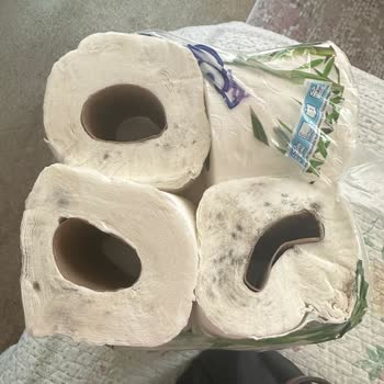 Migros'ta Satın Alınan Solo Tuvalet Kağıdının Küflü Ruloları